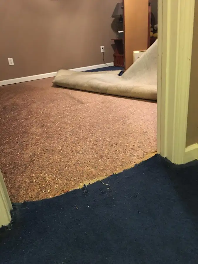 Carpet pad removal revealing water damage during Water Mitigation Services in Eastlake