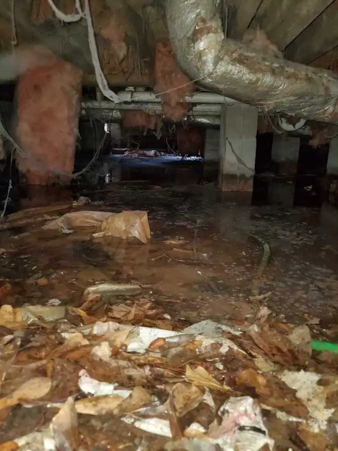 Crawl space flood assessment for Commercial Water Damage Restoration in Eastlake