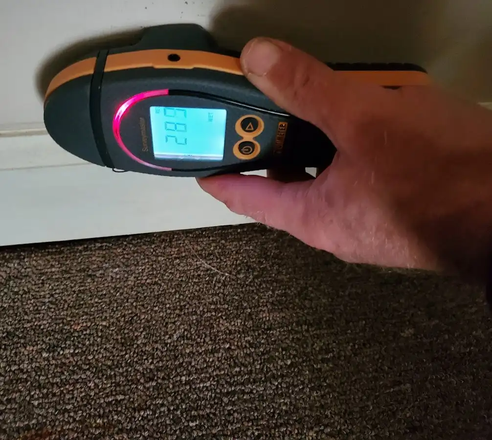 Moisture detection at baseboard during Sewage Cleanup & Sanitation in Eastlake