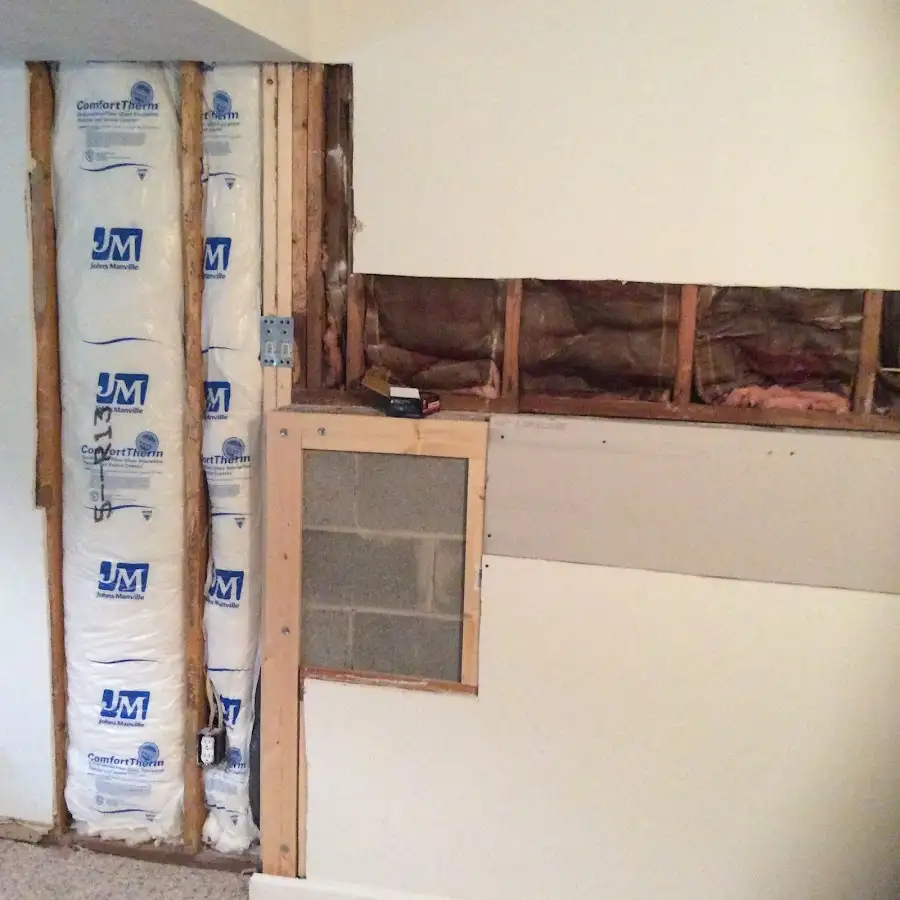 Wall insulation replacement during Basement Flood Cleanup in Eastlake